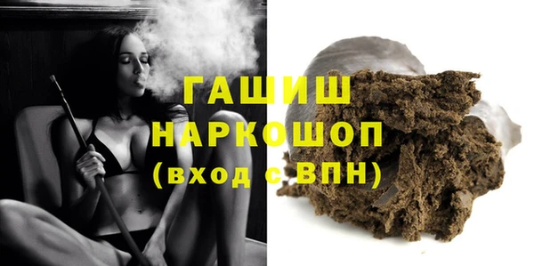 индика Бронницы