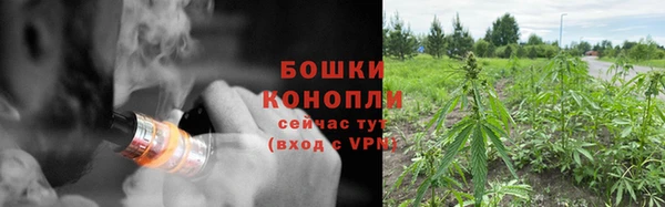дмт Бугульма