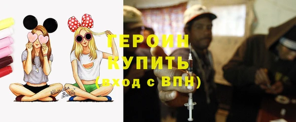 индика Бронницы