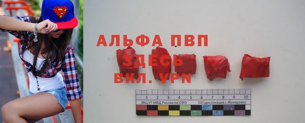 индика Бронницы