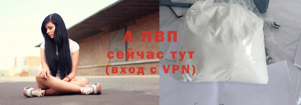 индика Бронницы