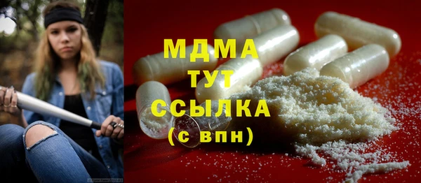 индика Бронницы