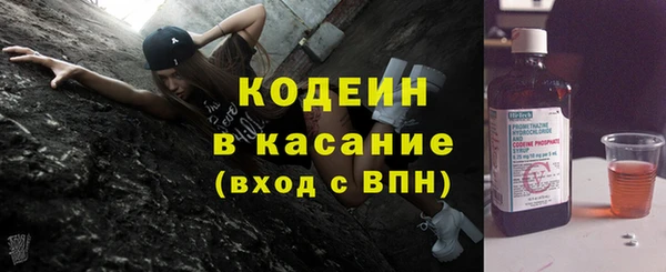 индика Бронницы